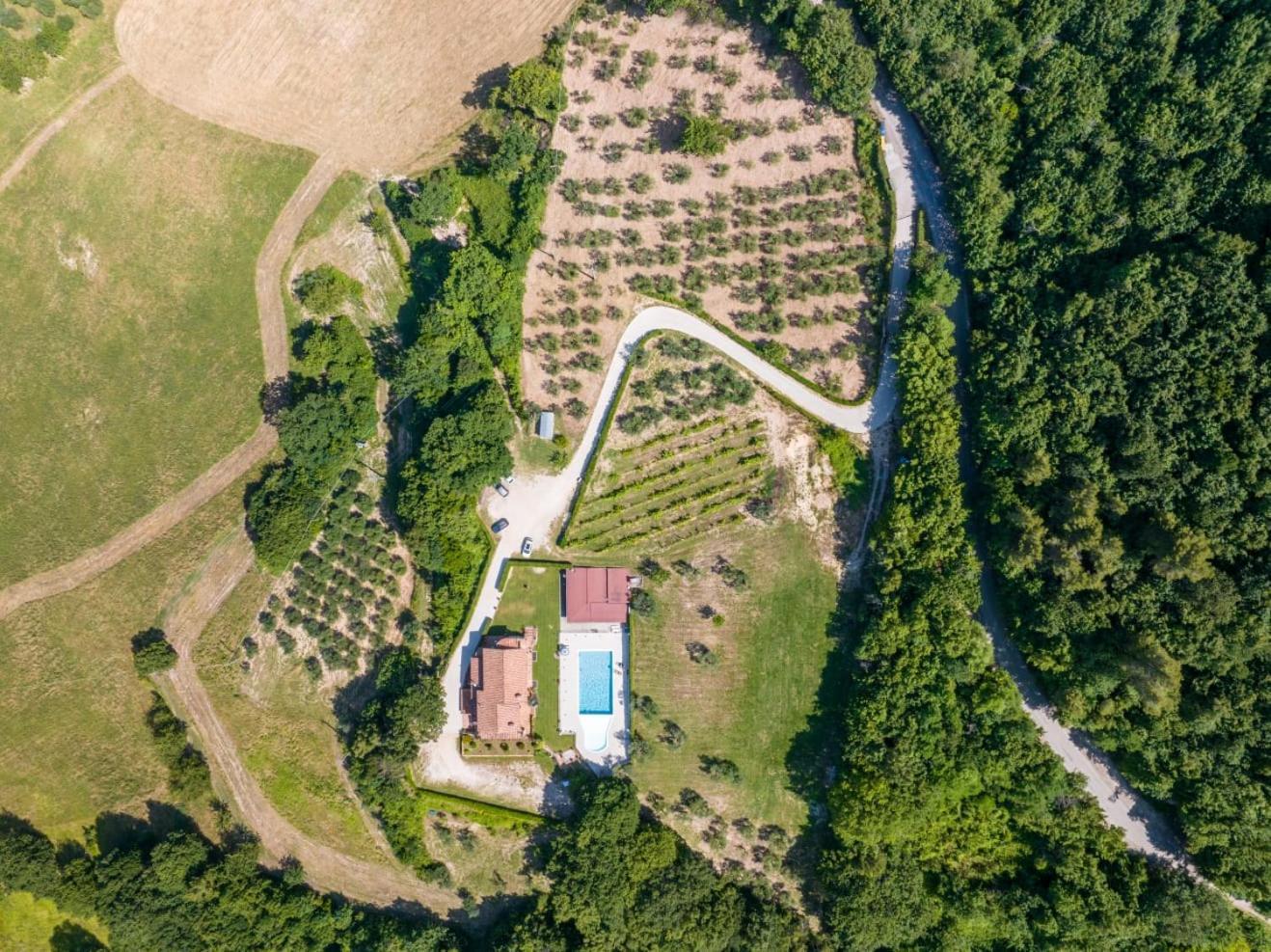 Isola *
