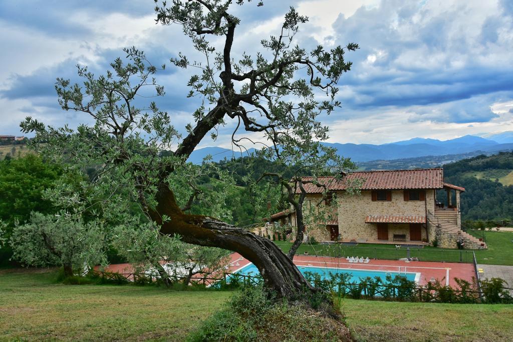 Farm stay Isola
