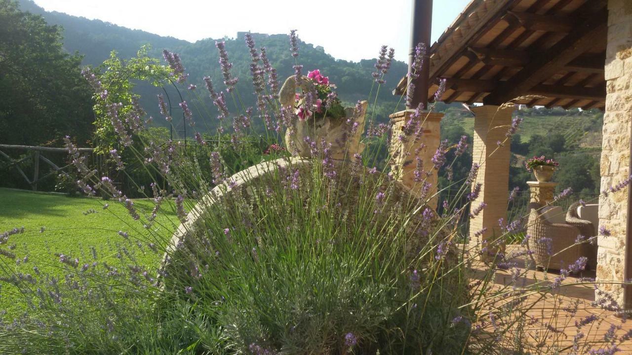 Isola