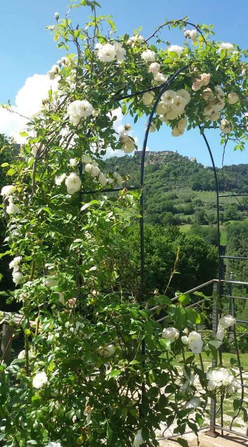 Séjour à la ferme Agriturismo Isola Verde
