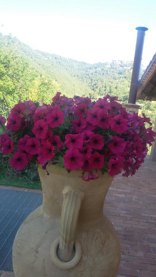 Isola Farm stay Sant'Urbano