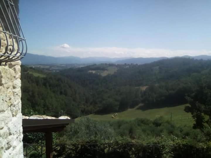 Farm stay Isola